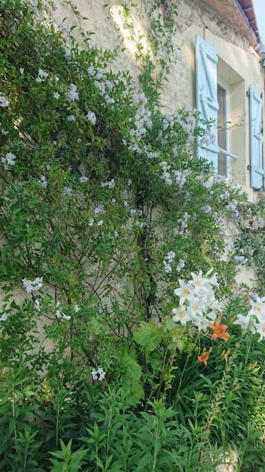 Entire Apartment With Swimming Pool Near Aubeterre Saint-Romain  Kültér fotó